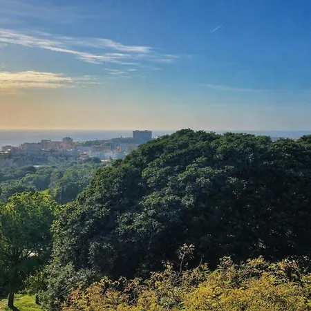 Daire Vistas Al Mar Al Atardecer X Terraza Privada Con Parking X Playa Cerca